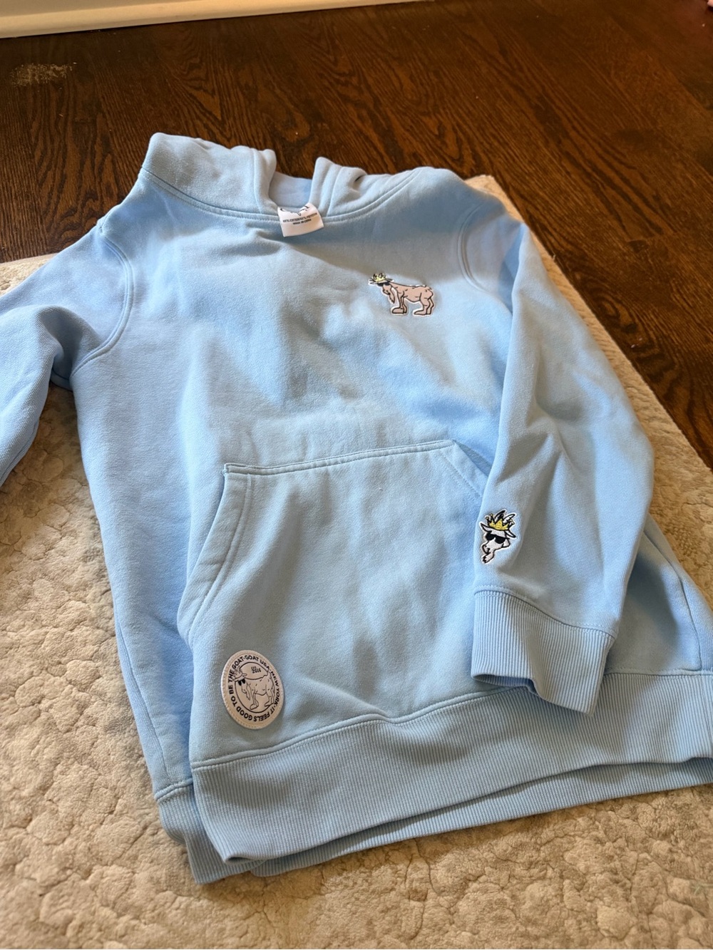 Kids Light Blue Hoodie Sweatshirt - GOAT